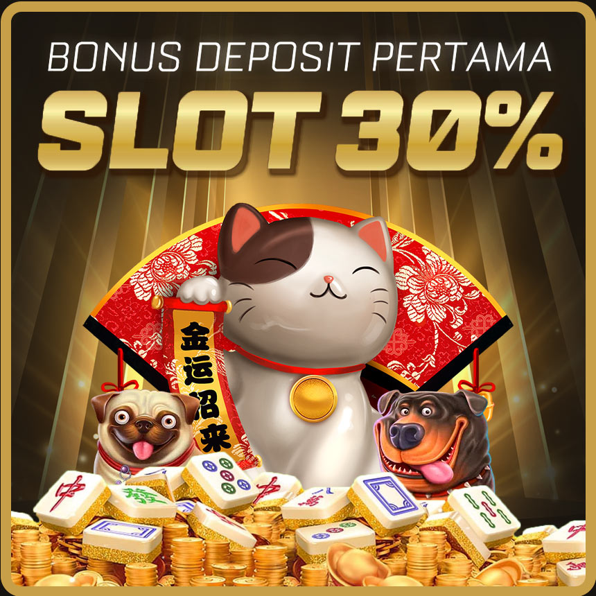 Slot datastudio google com 62